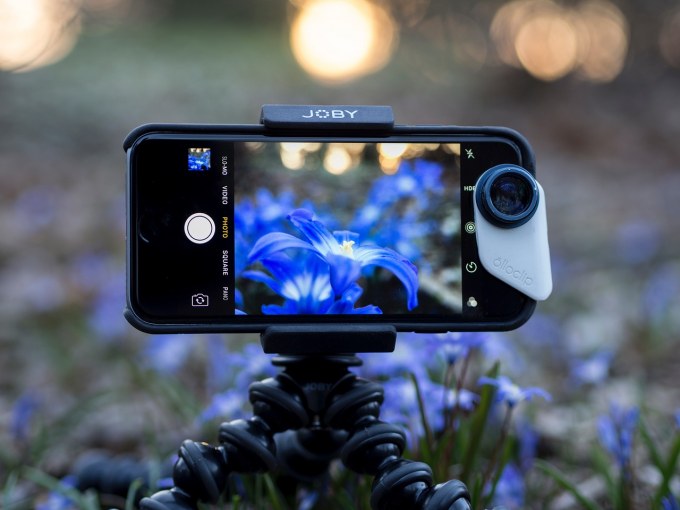 A phone is filming flowers on a mobile tripod