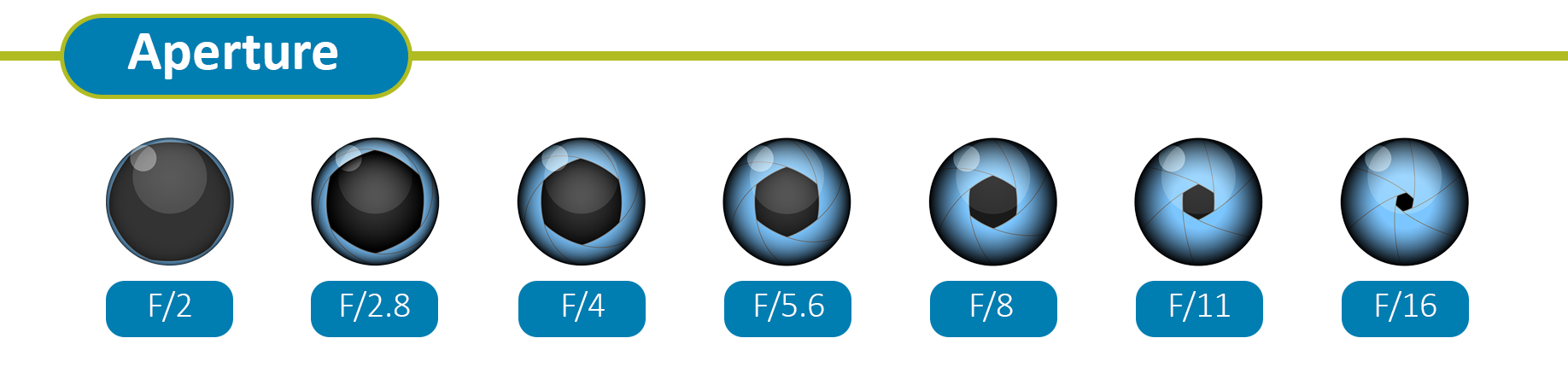 a series of apertures settings showing how higher f-stop leads to a more closed lens iris 